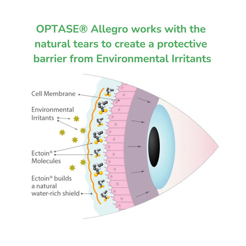 An illustration of an eye cross-section shows a cell membrane, environmental irritants, and ectoin molecules forming a natural water-rich shield. Text reads: Optase Allegro Eye Drops for allergy-related dry eye symptom work with natural tears to create a protective barrier from irritants.