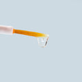 A close-up of a brush with a wooden handle and white bristles holds a droplet of Daily Practice Lash Enhancing Serum – Fuller, Longer, Healthier Lashes (4ml) on its tip, set against a light blue background.