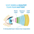 The Optase DryEye Kit illustration depicts an eyes tear film with mucin, aqueous, and lipid layers labeled. It emphasizes the lipid layers role in minimizing tear evaporation and aiding dry eye relief. Text reads, Why does a healthy tear film matter?.