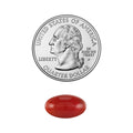 Above a quarter with George Washingtons profile rests a small, smooth, oval red stone on white, resembling the vivid pigments in EyePromise Zeaxanthin + Lutein Eye Vitamin softgels—essential for eye health.