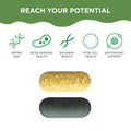 Two capsules—one golden, one dark green—are displayed under Reach Your Potential. Icons illustrate benefits like DNA repair, mitochondrial health, telomere care, stem cell wellness, and antioxidant support—all features of HealthyCell AM PM Healthspan Vitamins for optimal cell health.
