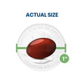 A polished, glossy red oval gemstone placed in front of a U.S. quarter is labeled Actual Size, with a green line measuring 1 inch—symbolizing the clarity and vision benefits of Bausch + Lomb’s Ocuvite Eye Vitamin & Mineral Supplement, featuring Zinc, Vitamins C and E, Omega 3, Lutein & Zeaxanthin.